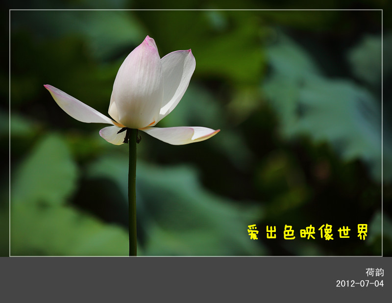 IMG_7652_副本800.jpg