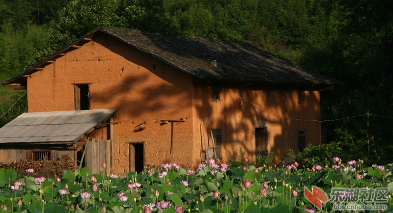 204555p87zowxv58mhza82.jpg