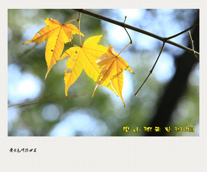 IMG_5486_conew1.jpg