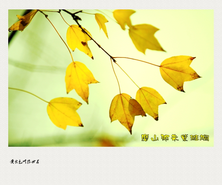 IMG_5527_conew1.jpg