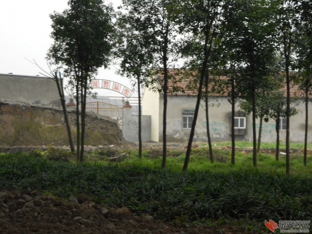 yeweiguan_1_1_1_1.jpg