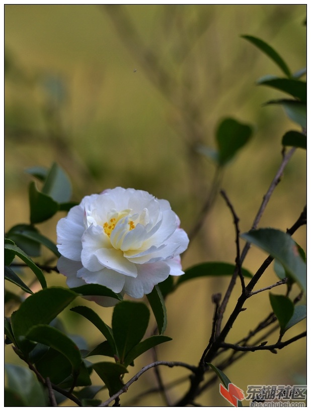 DSC_1496-6.jpg