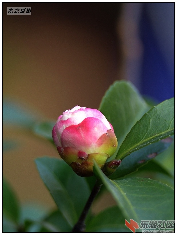 DSC_1122.JPG