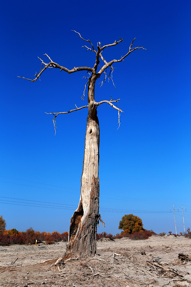 AG0Q1866.jpg