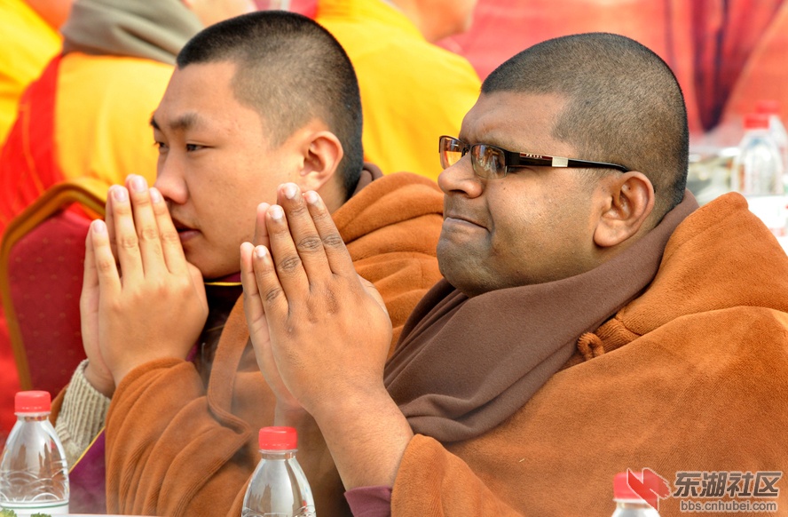 复件 DSC_8226僧法会.JPG