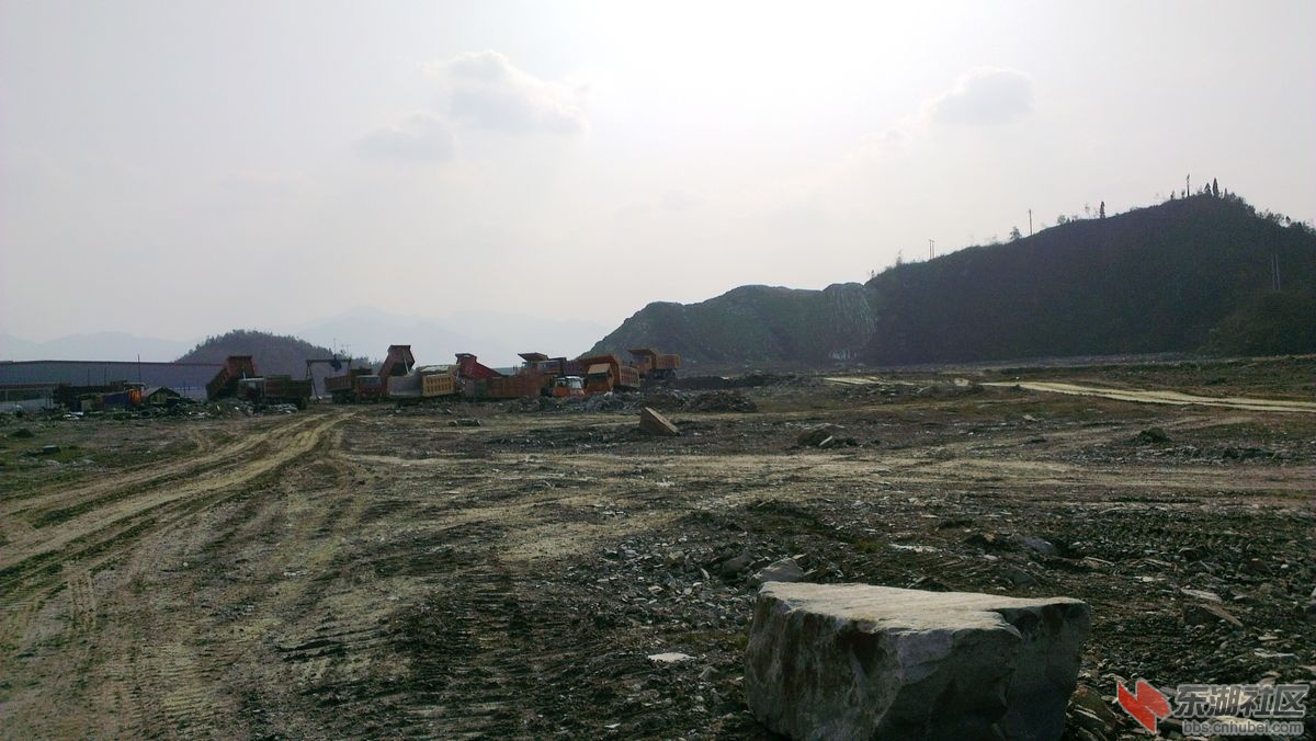 IMAG0118.jpg