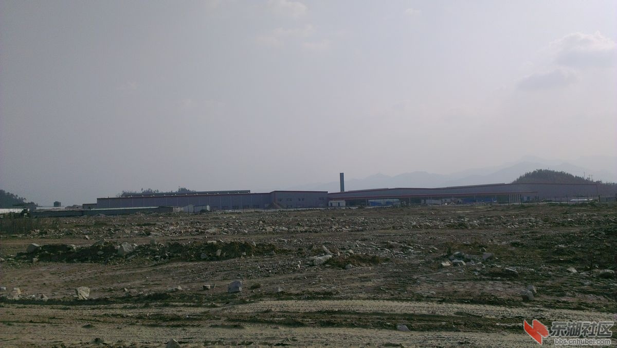 IMAG0119.jpg