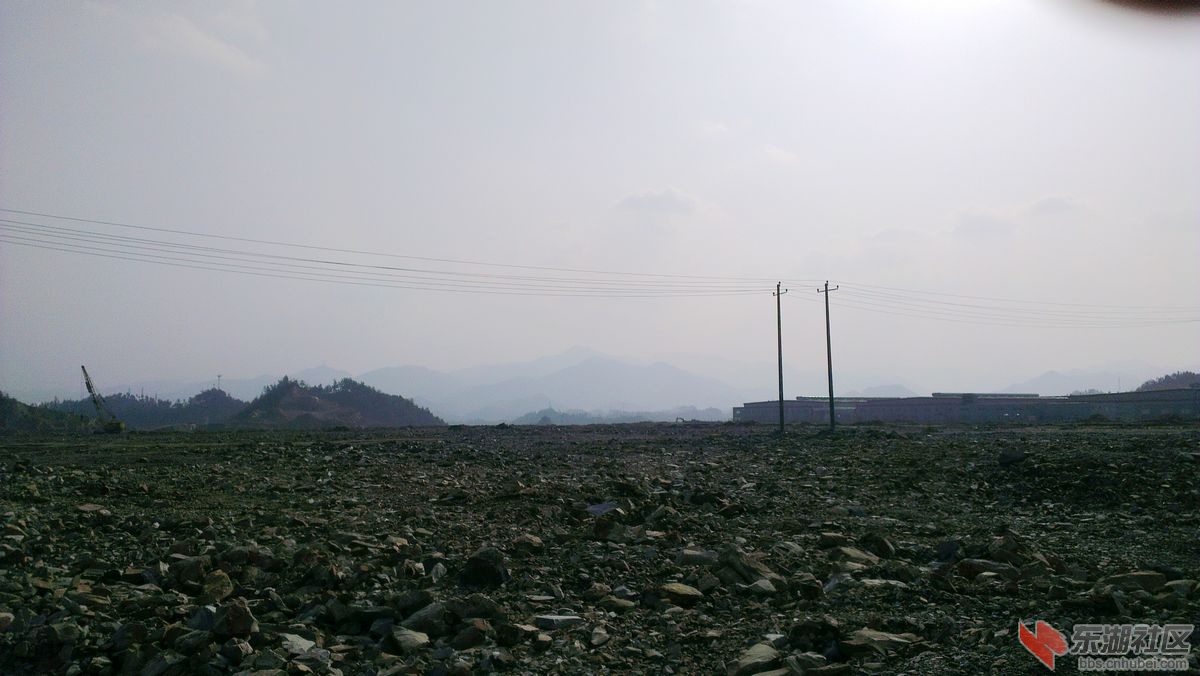 IMAG0123.jpg