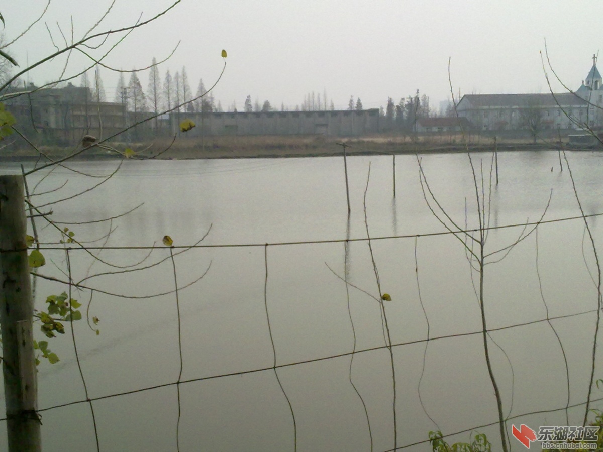 20121222039.jpg
