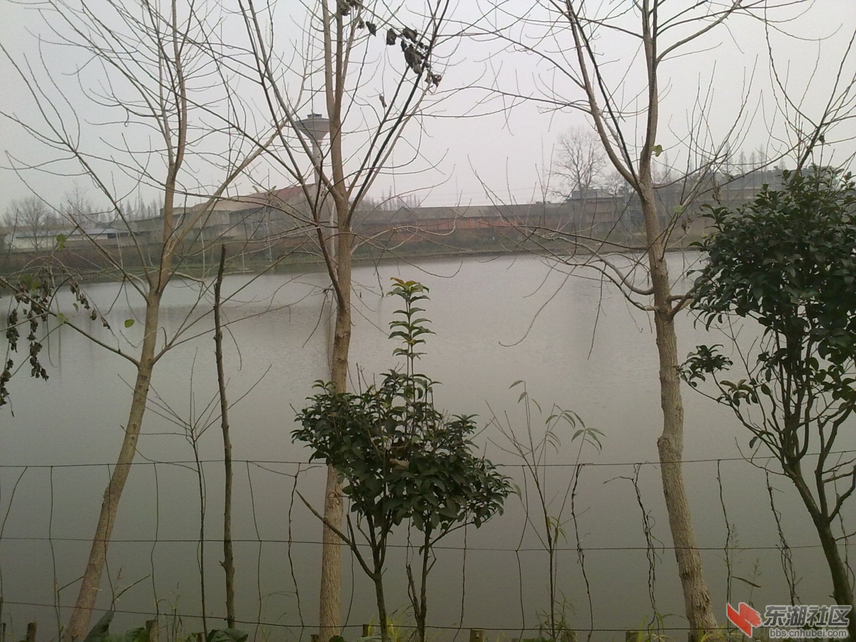 20121222033.jpg