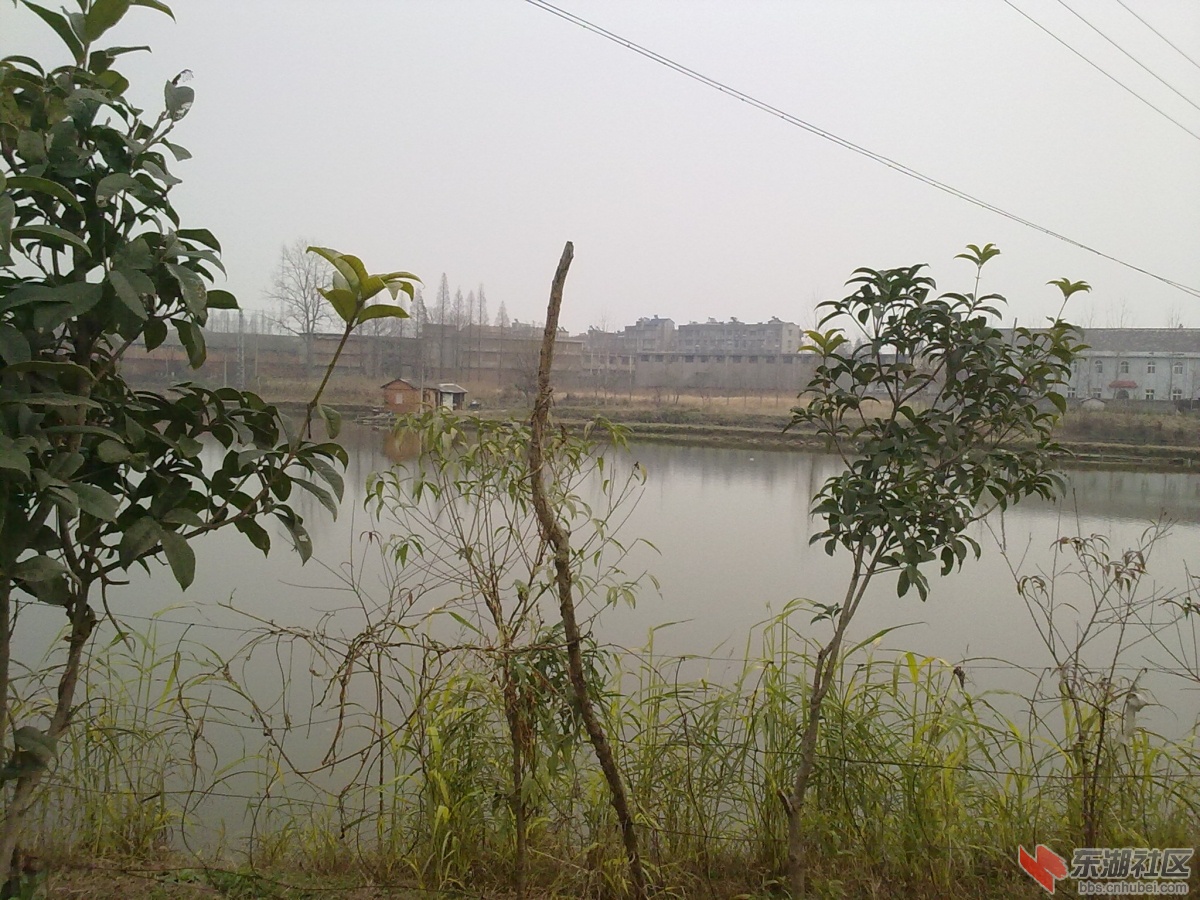 20121222029.jpg
