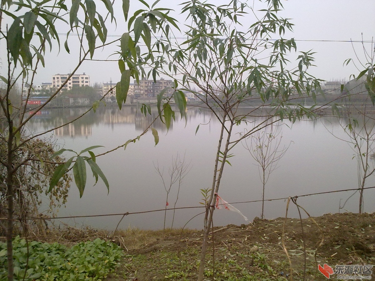 20121222027.jpg