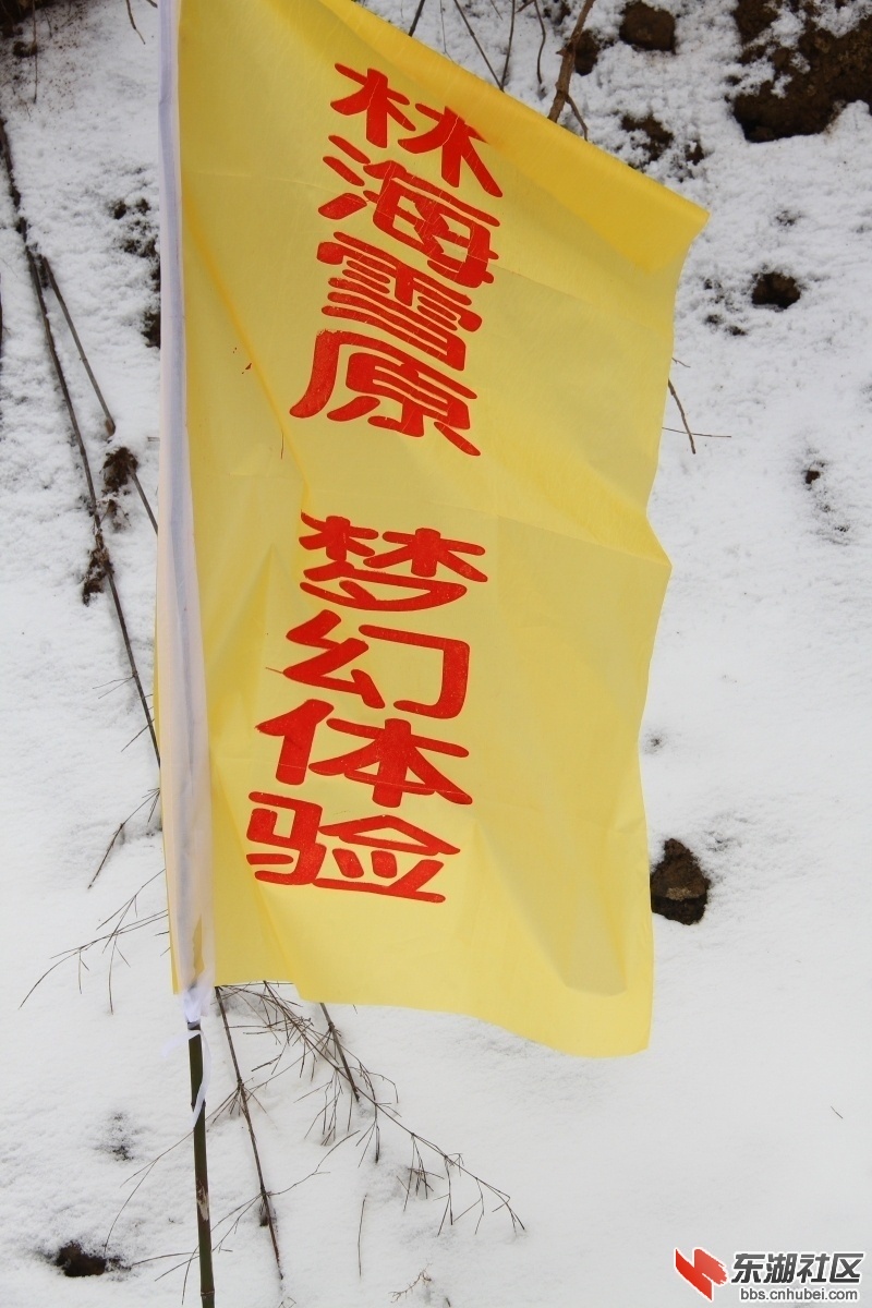143826m118888dzfgoar8g.jpg