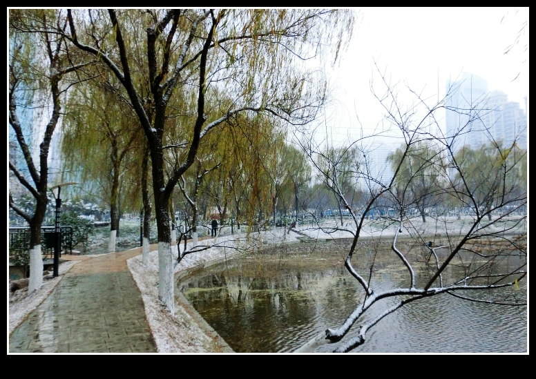 CIMG2642_conew1.jpg