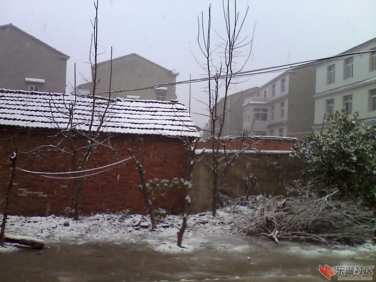 IMG_20121226_120945.jpg