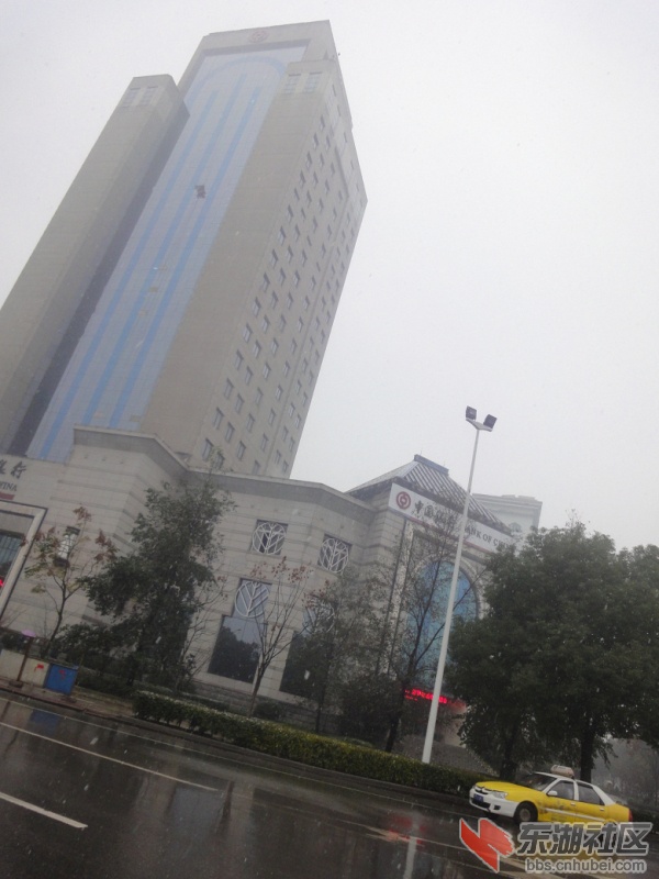DSC08730.jpg