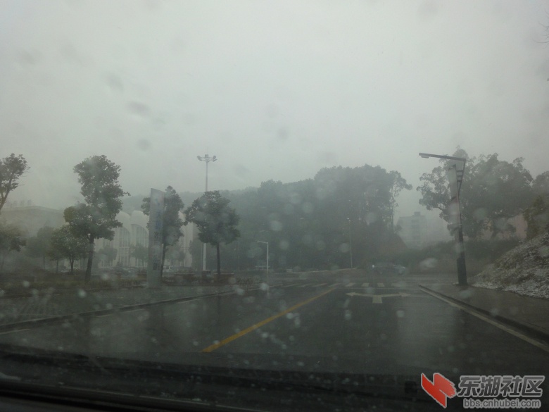 DSC08720.jpg