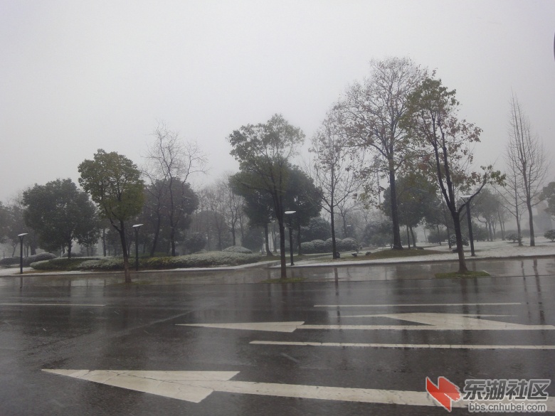 DSC08726.jpg