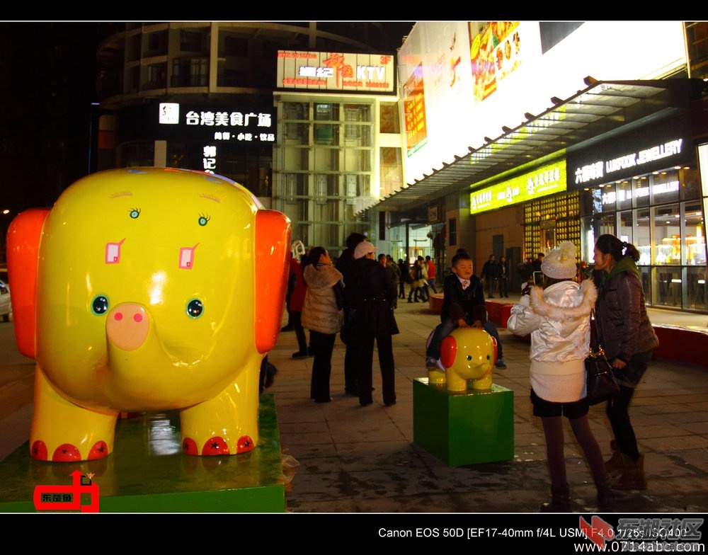 7_3571_e4cdc164cdbdf2f.jpg