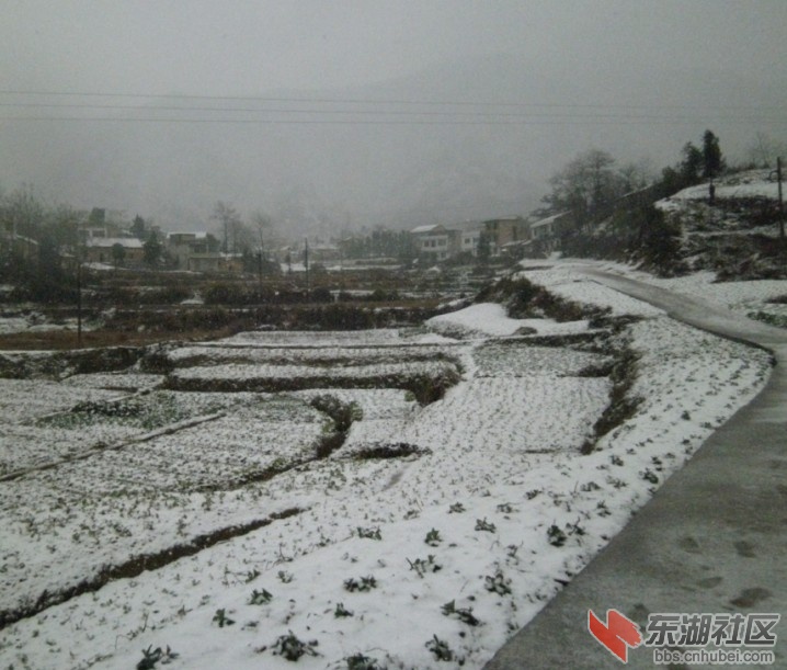 QQ拼音截图未命名.jpg