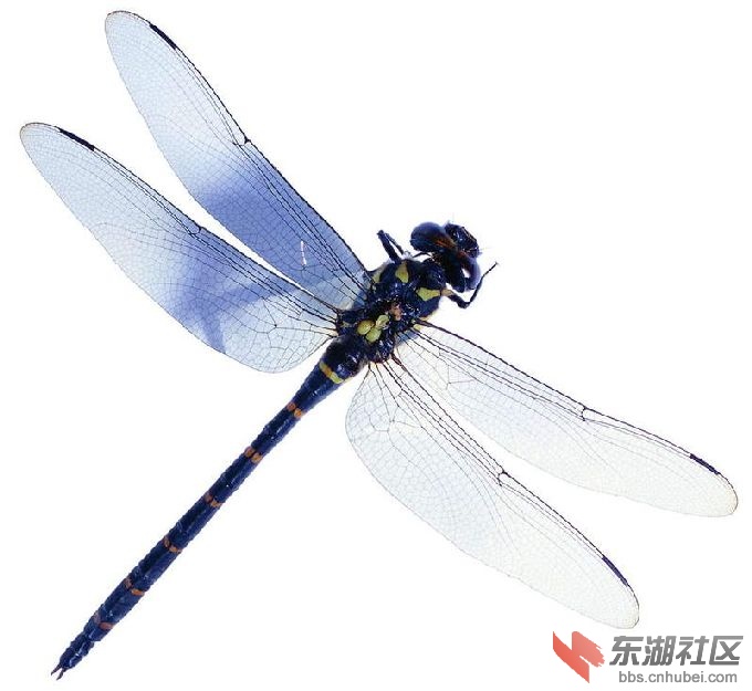 201001312317113331.jpg