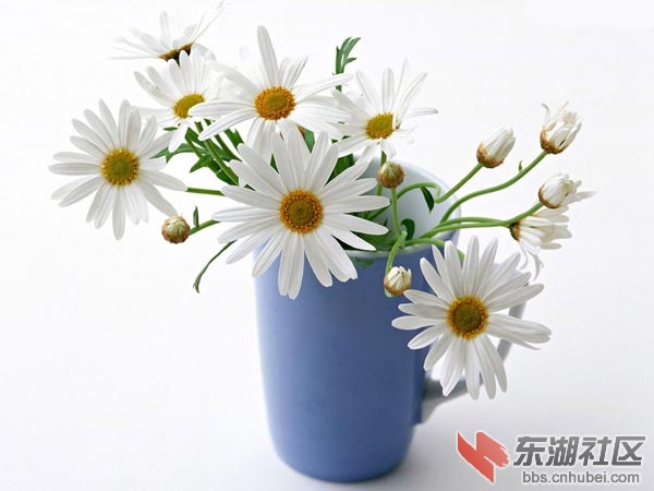4b4c96bd10fa00de9cf21&690.jpg