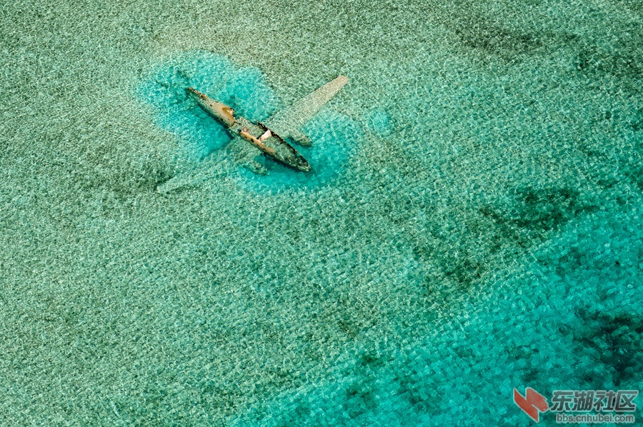 C-46残骸  摄于巴哈马群岛  作者  Bjorn Moerman.jpg