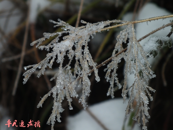 DSCF4033.jpg