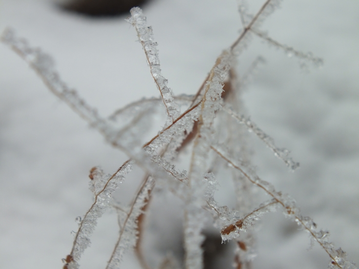 DSCF4046.jpg