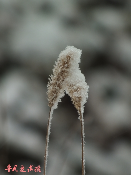 DSCF4056.jpg