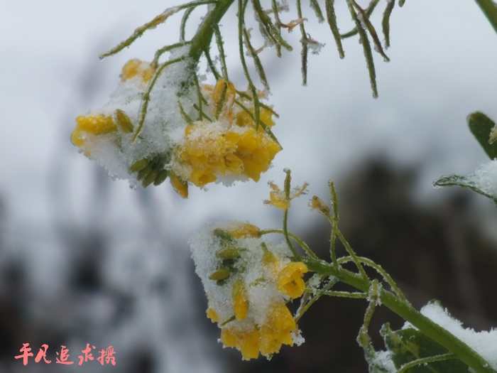 DSCF4063.jpg