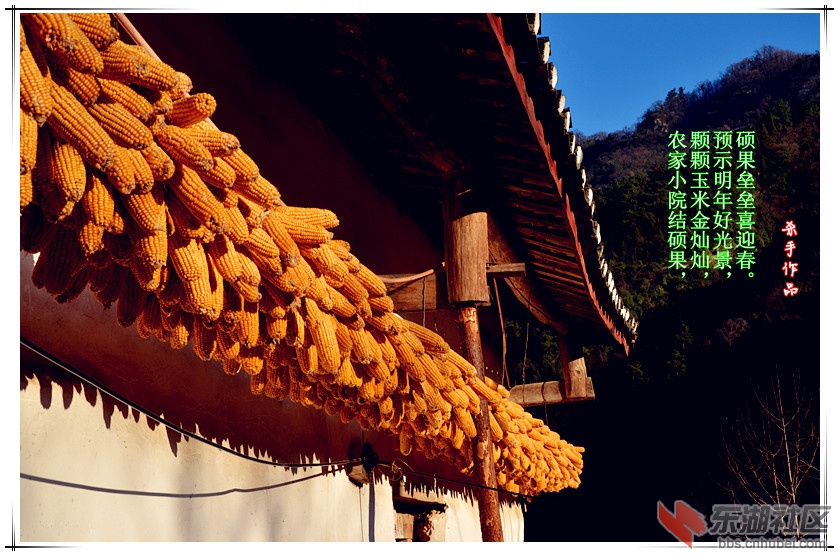DSC_5112_副本.jpg