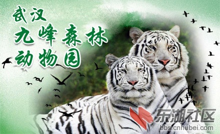 20121227111259_9720.jpg