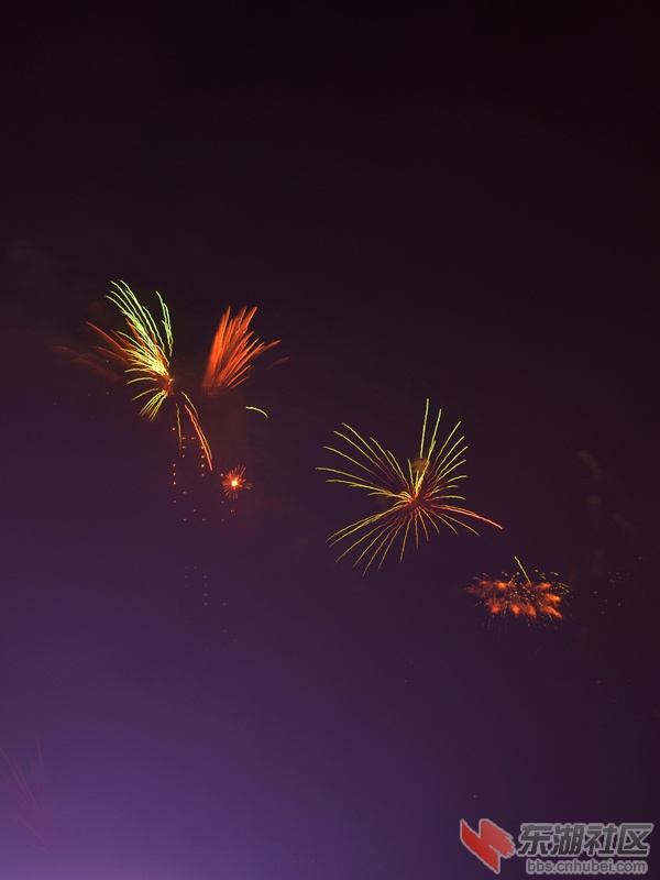 DSC_3109.jpg
