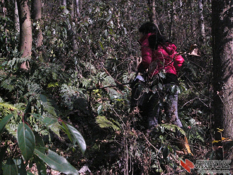 p1400316.jpg