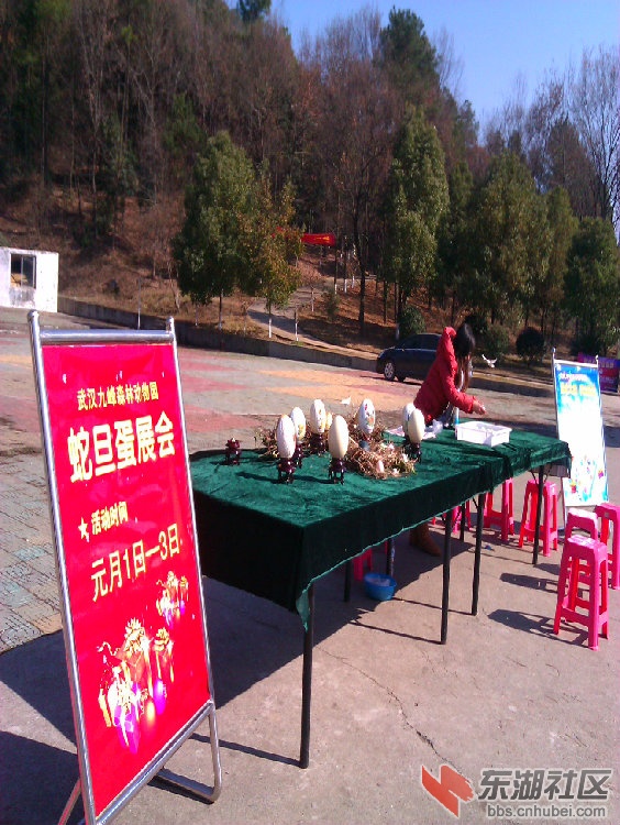 蛇旦蛋展.jpg