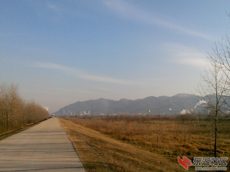 IMG1231154200_副本.jpg