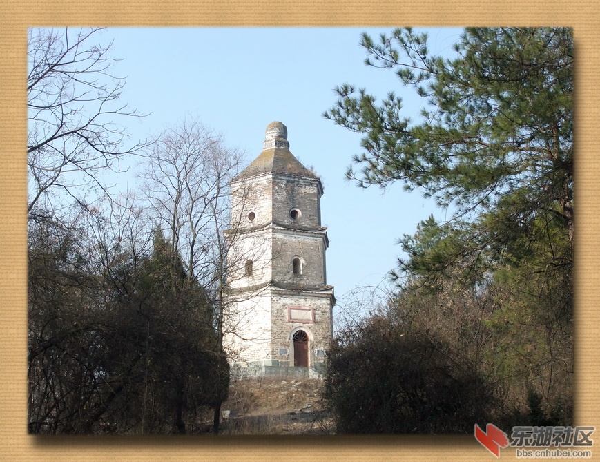 DSCF6770.jpg