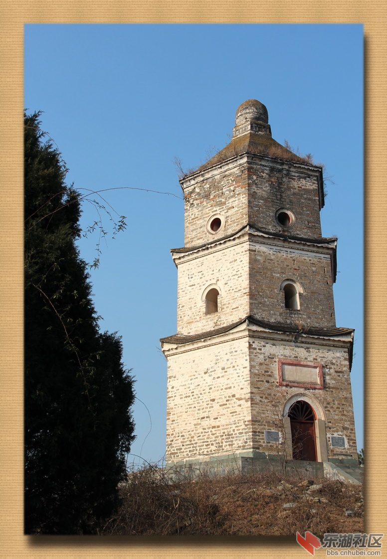 IMG_8643.jpg