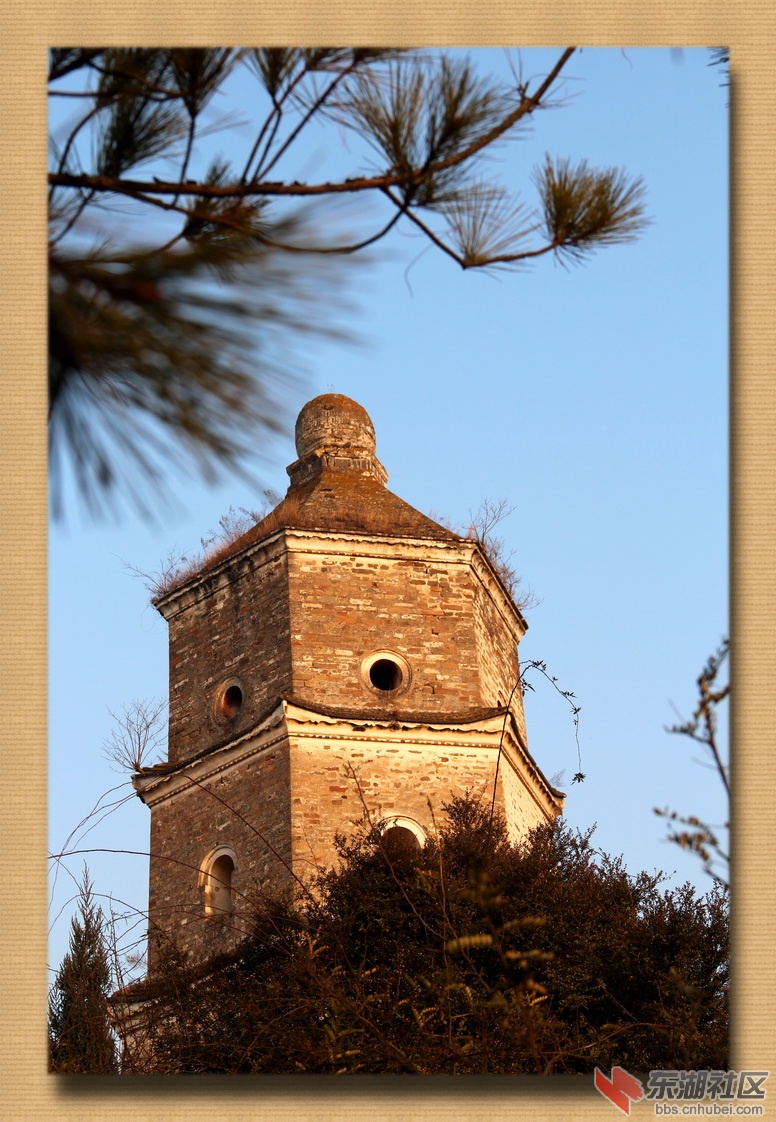 IMG_9032.jpg