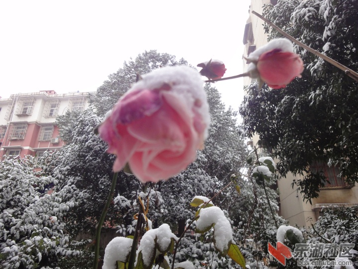 DSC08789.jpg
