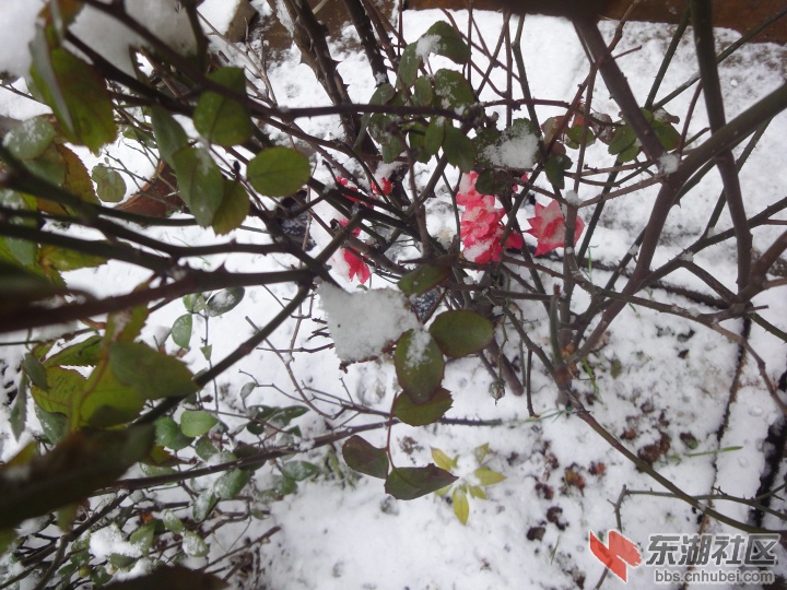 DSC08795.jpg
