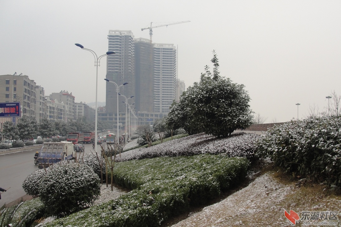 DSC04083.JPG