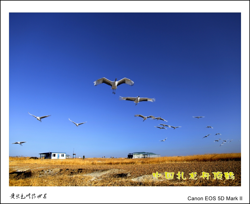 _MG_4314_conew1.jpg