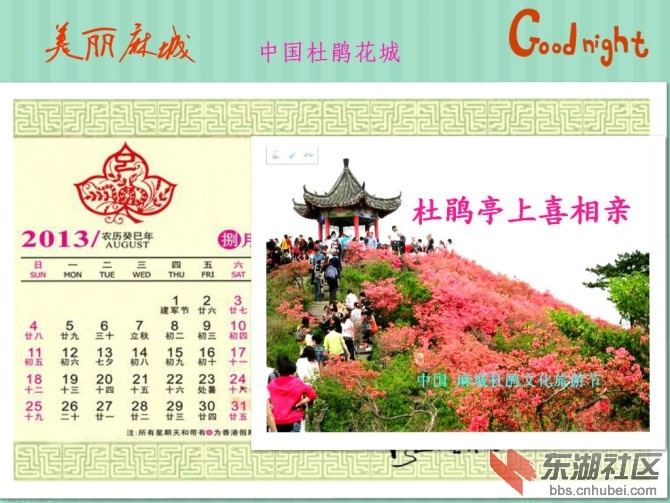 捌月.jpg