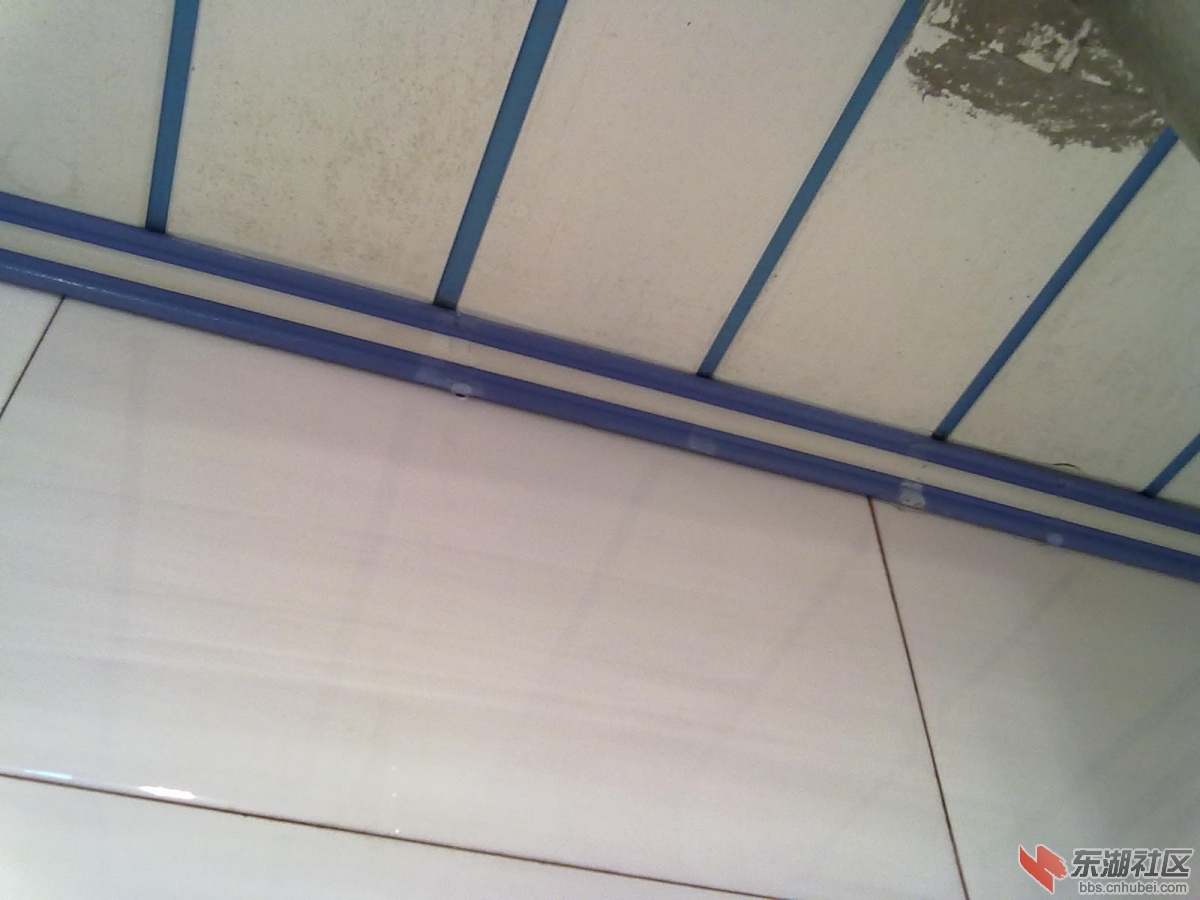 20130107572.jpg
