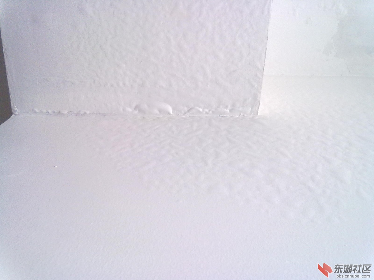 20130107575.jpg