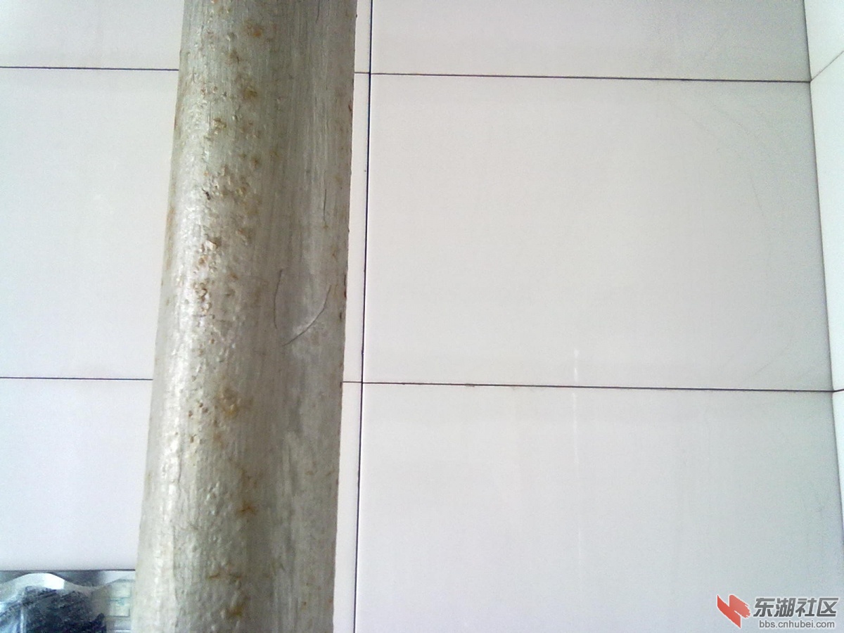 20130107580.jpg