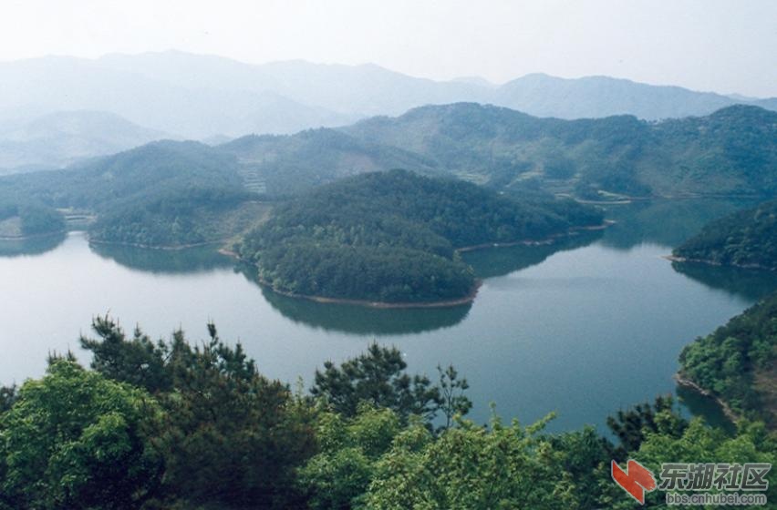 20090403104039304.jpg