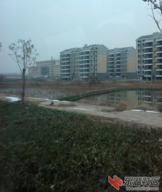梧桐苑小区.jpg
